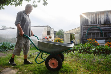 Senior man pushing wheelbarrow in garden