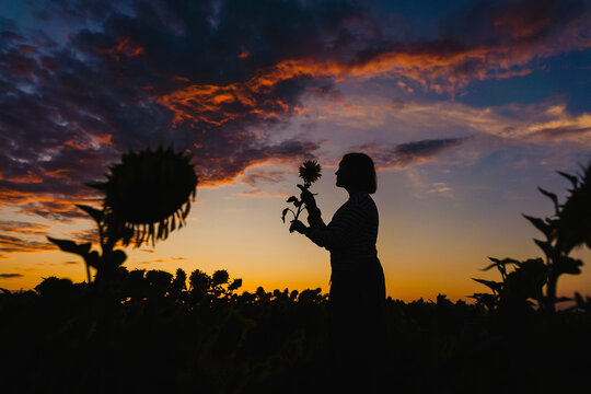 Silhouette of woman and sunflower in field