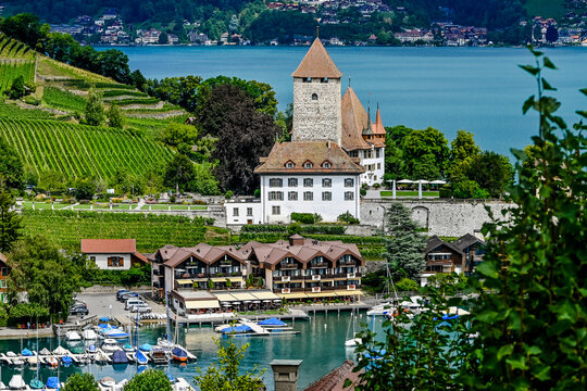 Spiez, Schloss Spiez, Stadt, Seeufer, Boote, Hafen, Thunersee, Schifffahrt, Seerundfahrt, Weinberge, Beatenberg, Niederhorn, Aussichtspunkt, Sommer, Schweiz 