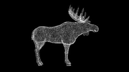 3D Elk on black background. Wild animals concept. Nature reserve and zoo. Business advertising backdrop. For title, text, presentation. 3d animation.