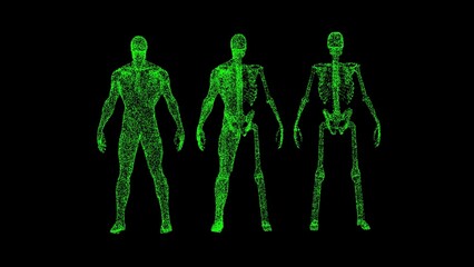 3D man Anatomy on black background. Medical and Scientific concept. Anatomy of the male body. Business advertising backdrop. For title, text, presentation. 3d animation.