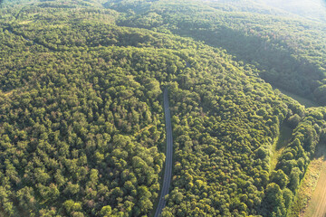 Germany, Saxony-Anhalt, Aerial view of Bundesstrasse 185 cutting through green forest in Harz