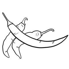 fresh chili drawing line
