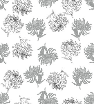 flower chrysanthemum vector seamless pattern