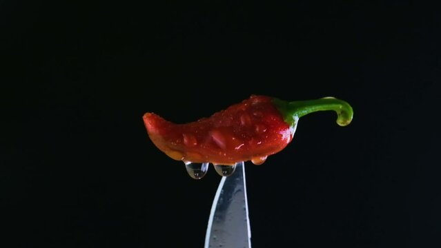 Spicy chili's brilliance, changing light and water drops on red jalapeno above knife