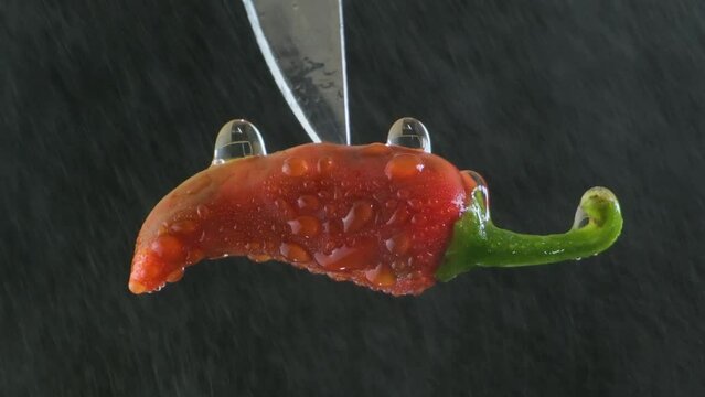 Close Up Rotating Zoom on a Wet Red Chili Pepper on the Tip of a Knife in front of a Black Background