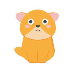Animal Illustration