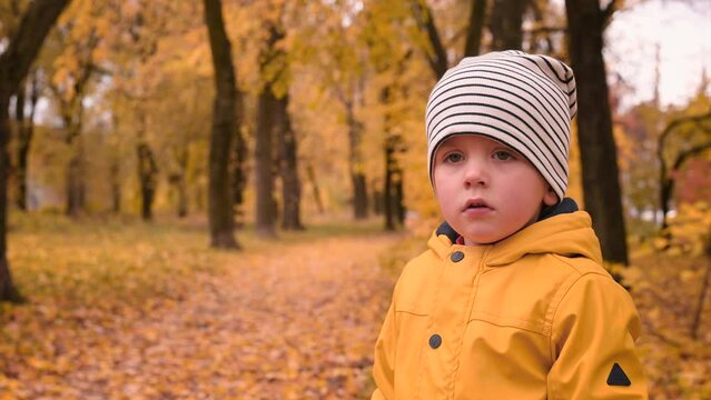 A little boy in a yellow raincoat walks in the autumn park and plays with yellow leaves. Happy child runs through the forest in the fall of leaves 