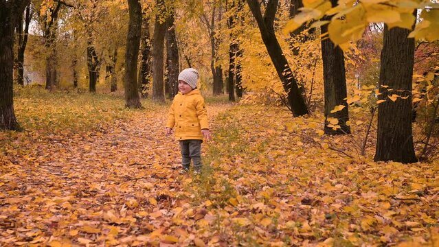 A little boy in a yellow raincoat walks in the autumn park and plays with yellow leaves. Happy child runs through the forest in the fall of leaves 