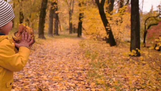 A little boy in a yellow raincoat walks in the autumn park and plays with yellow leaves. Happy child runs through the forest in the fall of leaves back view