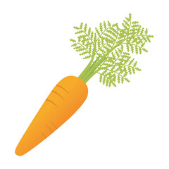 葉のついた新鮮なにんじん