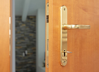 Wooden door with a gold lock and key