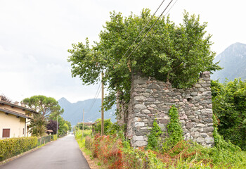 Old overgrown building in Italy
