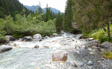 Mountain stream in the north of Italy