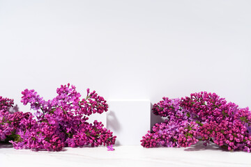 Elegant product presentation scene made with white podium and blossom lilac branches on white background.  Eco friendly template with flowers for your product placement.