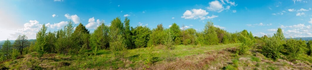 Panorama of the spring forest near the mountain town. Picturesque landscape of a sunny day.