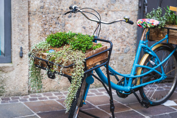 Little herbal garden in the basket of a vintage bicycle in a street in summer