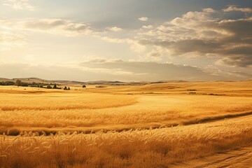 Wide stretch of agricultural land with a golden hue. Generative AI