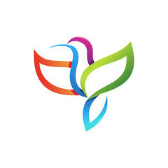 hummingbird logo design vector template