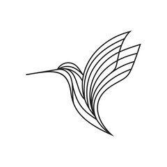 hummingbird logo design vector template