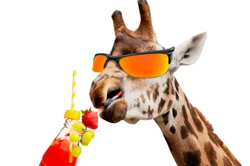 Gordijnen funny giraffe head in sunglasses drinks a fruit cocktail, abstraction, holiday © mikitiger