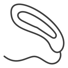 Prokaryote Bacteria vector concept thin line icon or sign