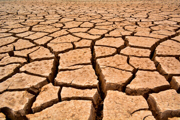 global warming and climate change effect to dry and cracked land, soil or earth ground, desert without rain, drought, dry cracked sandy desert