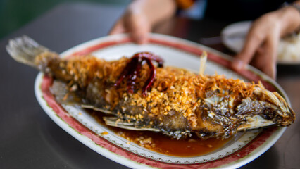 Close up women eating seafood