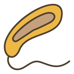 Prokaryote Bacteria vector concept colored icon or symbol