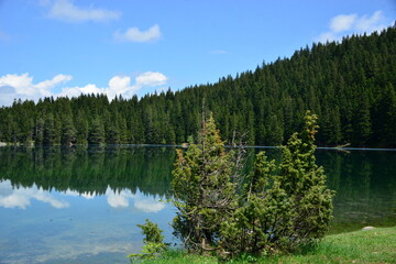 Fototapeta premium Black Lake is a lake located 3 km from the town of Žabljak in northern Montenegro. It is a glacial lake, located on the Durmitor mountain, at an altitude of 1,416 m. 