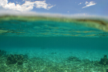 a beautiful scene of a paradise island in caribbean sea