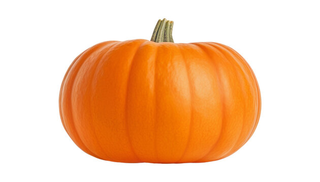 pumpkin isolated on transparent background cutout
