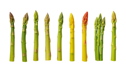 Poster asparagus isolated on transparent background cutout © Papugrat