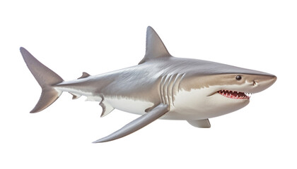 Obraz premium great shark isolated on transparent background cutout