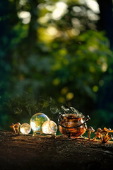 witch cauldron and crystal balls on tree stump in forest, abstract natural dark background. occult...