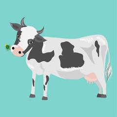 white cute cow with black spots on a turquoise background. vector graphics for children's illustrations.