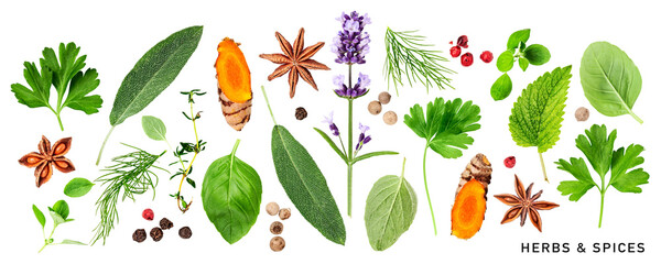 Fresh herbs and spices set. PNG with transparent background. Flat lay. Without shadow.