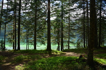  Black Lake is a lake located 3 km from the town of Žabljak in northern Montenegro. It is a glacial lake, located on the Durmitor mountain, at an altitude of 1,416 m. 