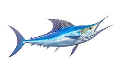 Fototapeta premium sea fish isolated on transparent background cutout