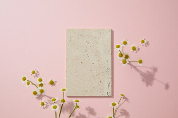 Blank pink background with gray brick podium decorated and fresh chamomilla flowers for cosmetic...