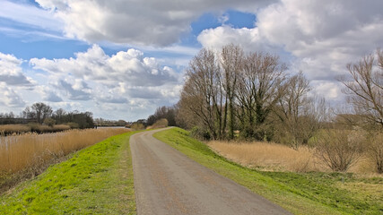 Levee with bicycle and pedesrian path along the green borders of river Scheldt in the flemish...
