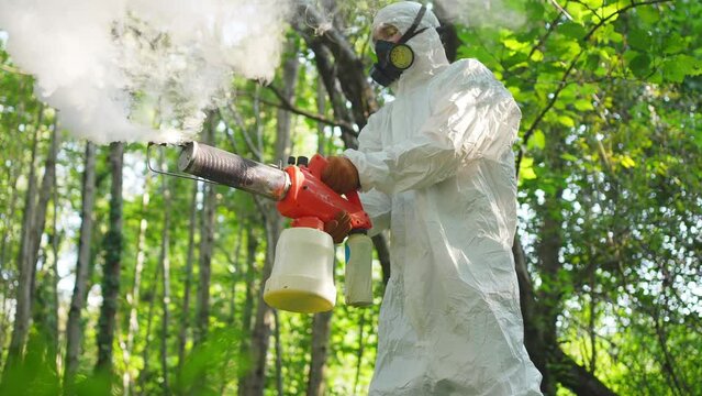 extermination of mosquitoes the use of fumigators and pesticides in the forest destroy the Zika virus and Dengue fever tick insect close up