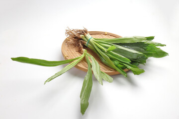 Ngo Gai leafs thai parsley fragrant herb condiment on white background