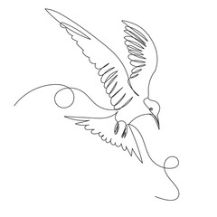 bird flying continuous line drawing, sketch vector