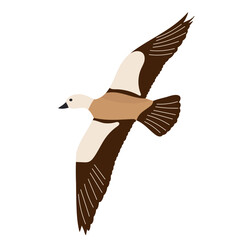 Obraz premium duck flying in flat style on white background vector