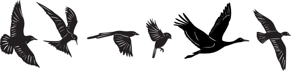 flying birds silhouette on white background vector