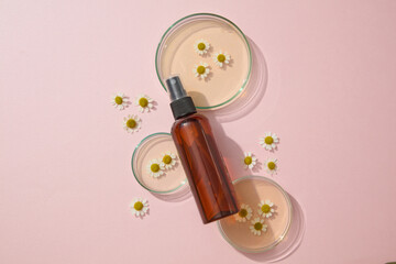 A amber spray bottle unlabeled placed on petri dishes with chamomilla flowers and essence on a pink...