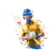 Cricket player, isolated low poly vector illustration, geometric drawing. Cricket logo