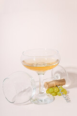 Gourmet drink concept, delicious alcohol drink - wine