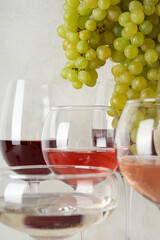 Gourmet concept, delicious alcohol drink concept - wine